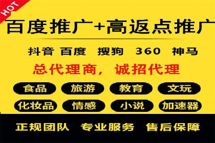 百度优化推广案例：打造行业领先品牌